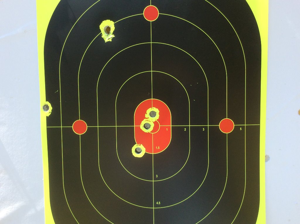 300 gr. 44 special target.jpg