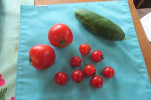 190810 001 from Tammy 001a.jpg