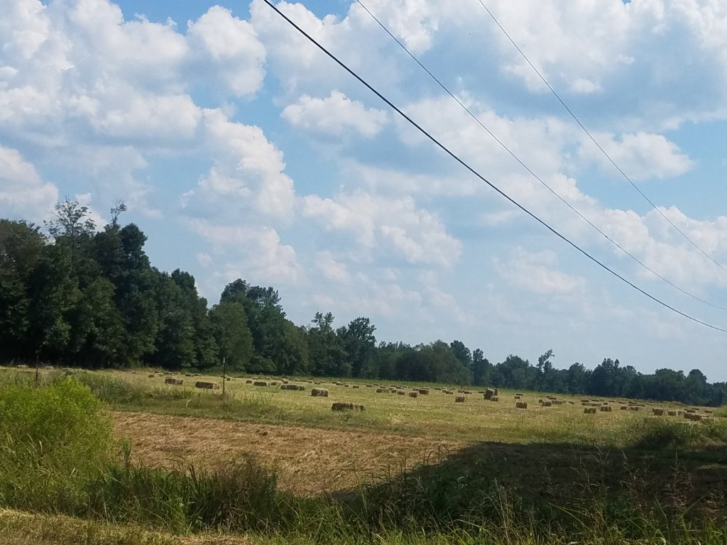20190818_143159.jpg