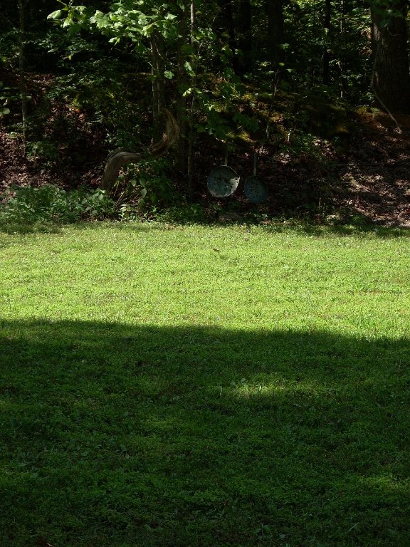 10 zoom the wifes old fry pans.jpg