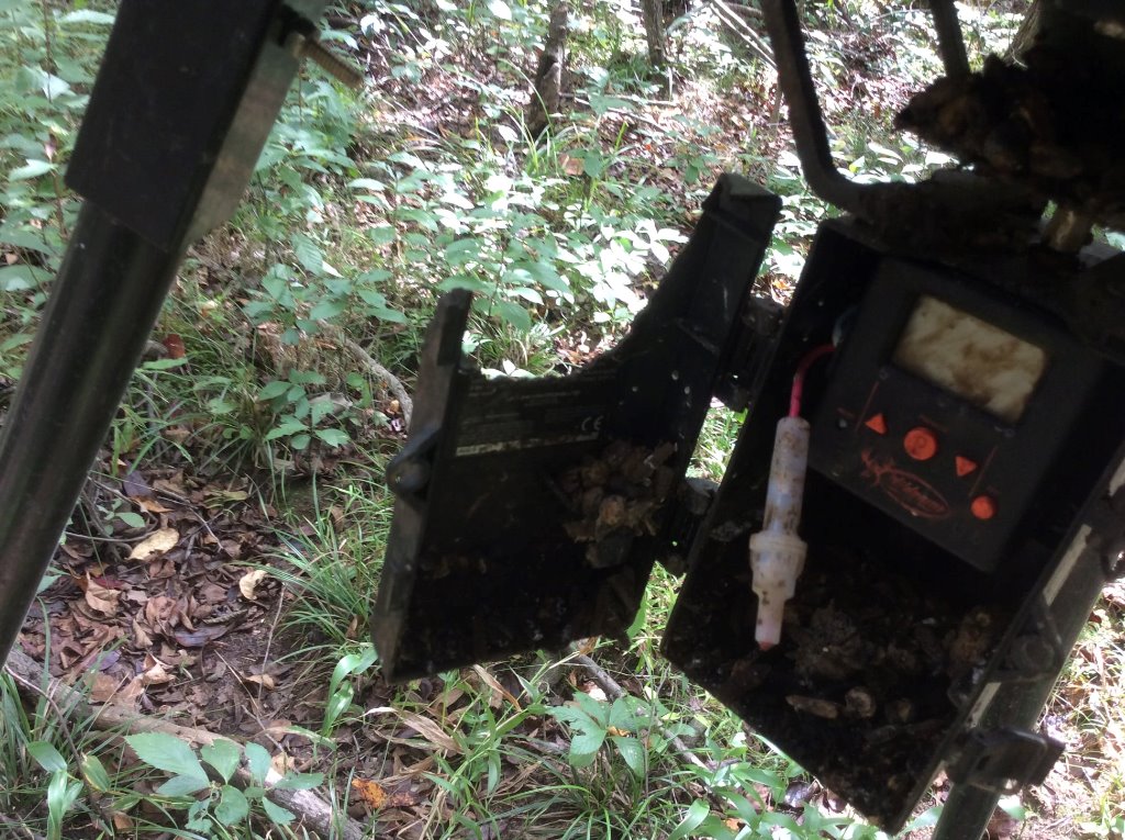 deer feeder attack 1.jpg