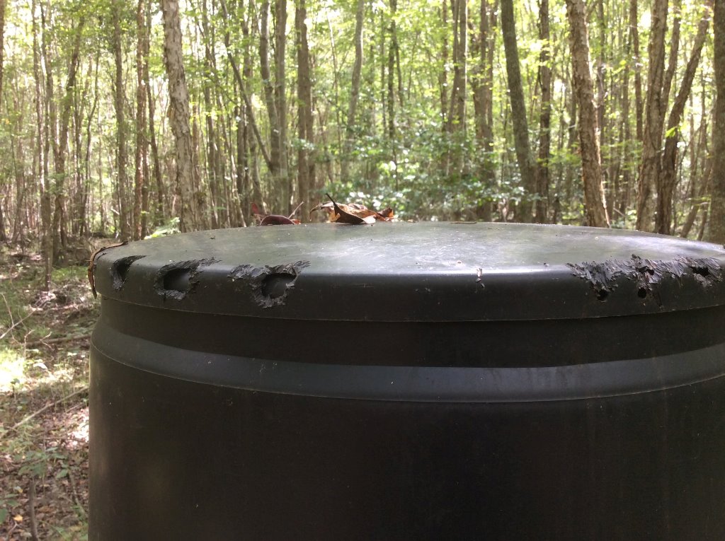 deer feeder attack 2.jpg