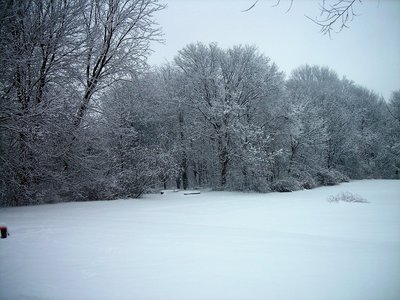 2 16 001.JPG
