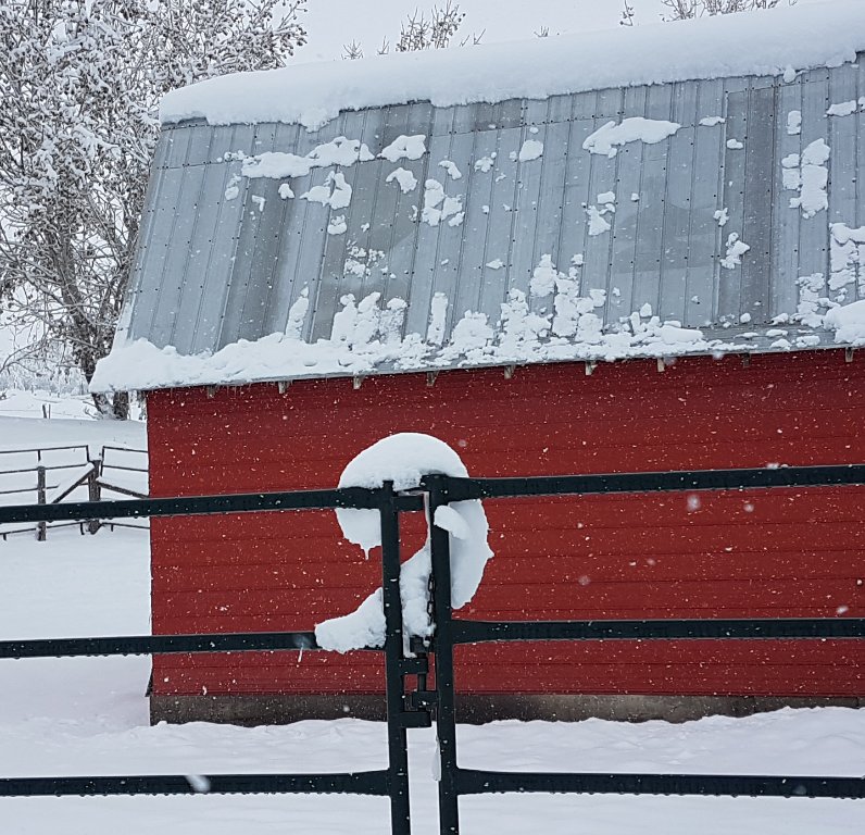20191008_165937.jpg