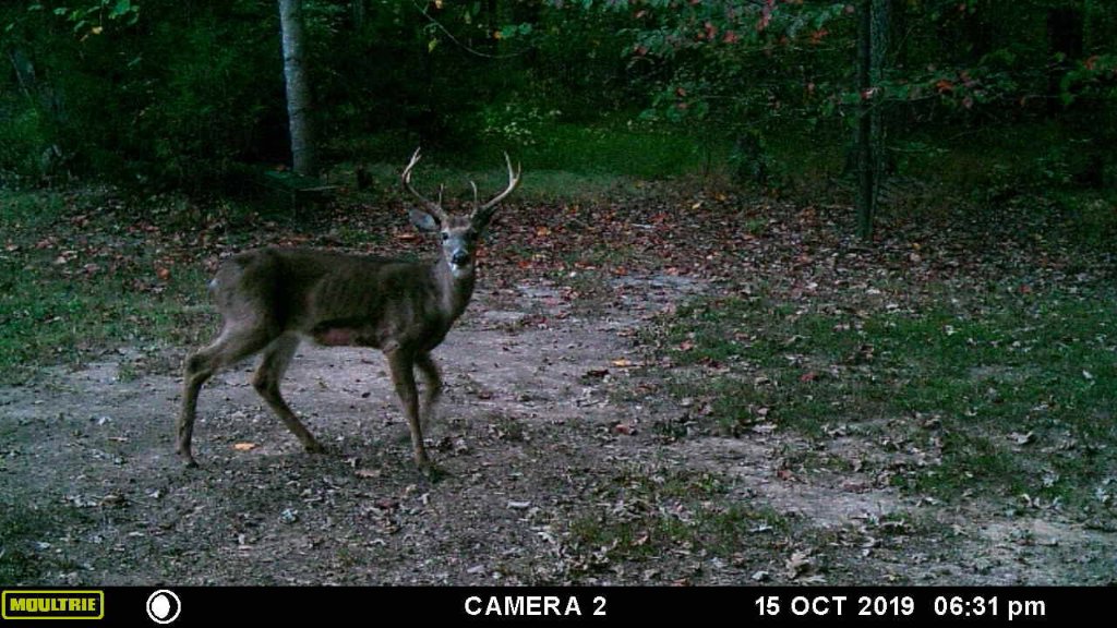 what a rack.jpg