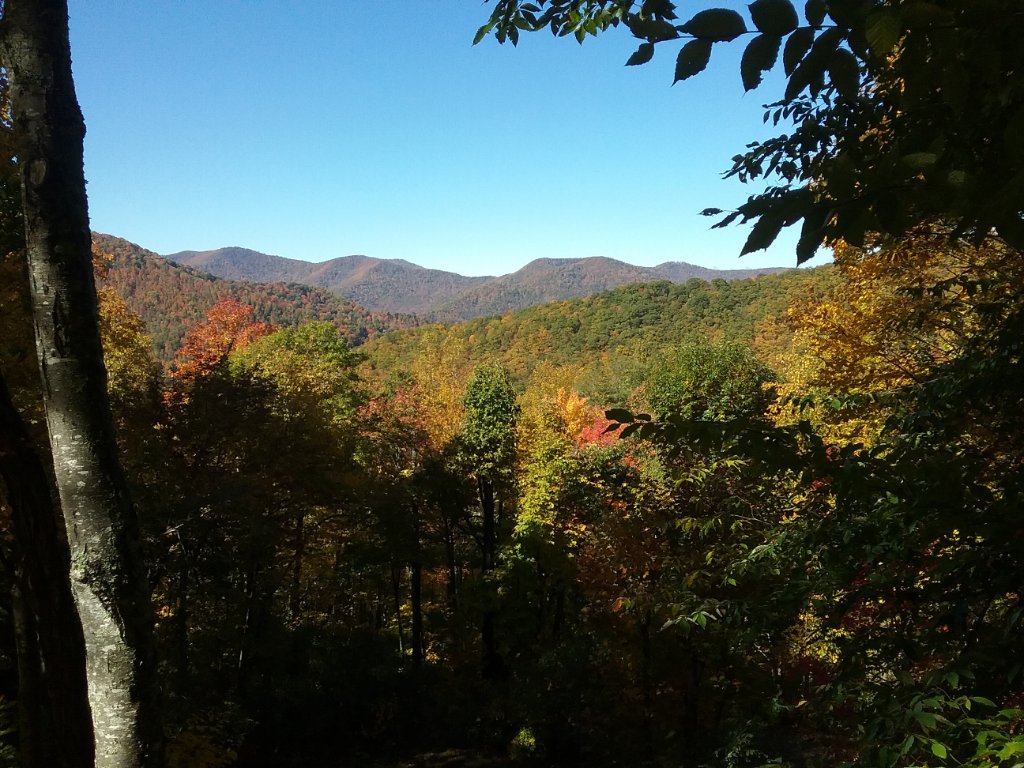 20191027_120346.jpg