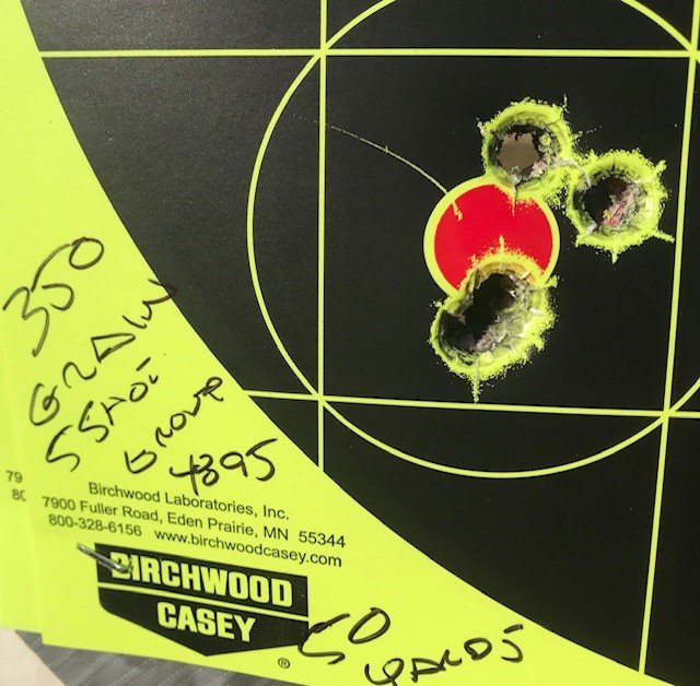 350 grain 4895 50 yards.jpg