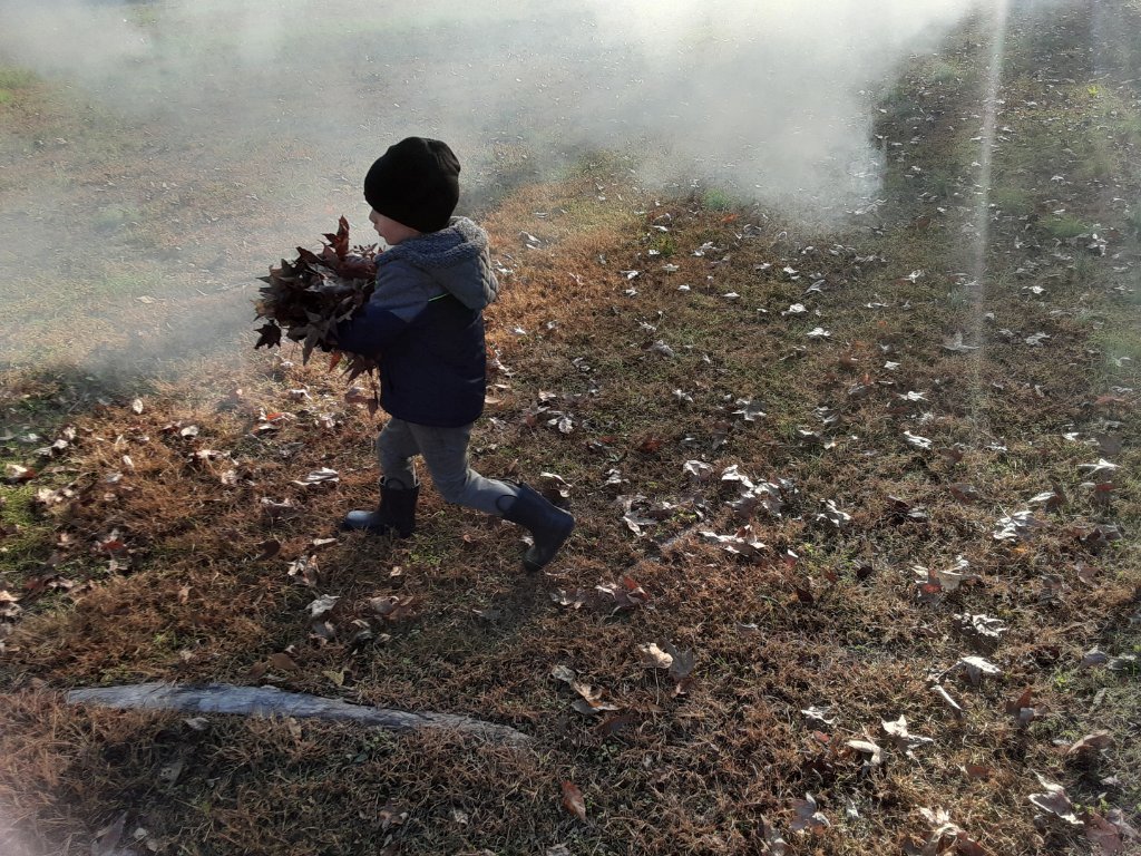20191108_144636.jpg