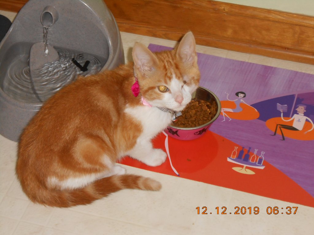 DSCN3468.JPG