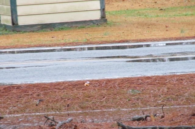 191214 002 heavy rain 003.jpg