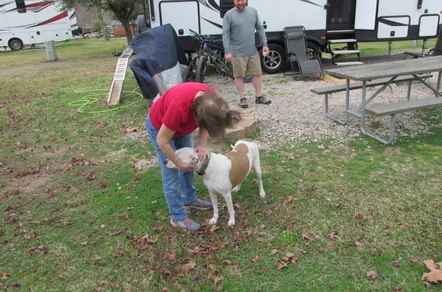 200109 004 neighbor 001.jpg