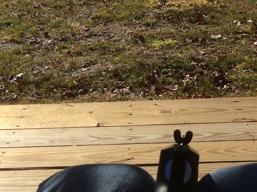 semi-ghost ring sight on Henry.jpg