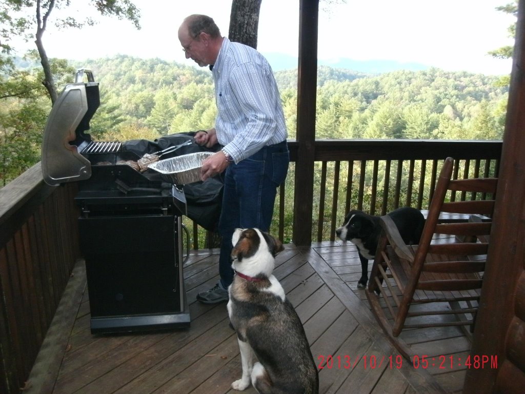 dogs waiting on dinner.jpg