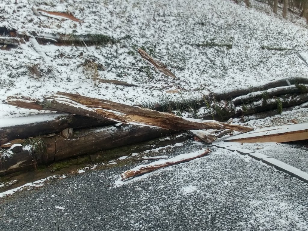 0207201226_HDR.jpg