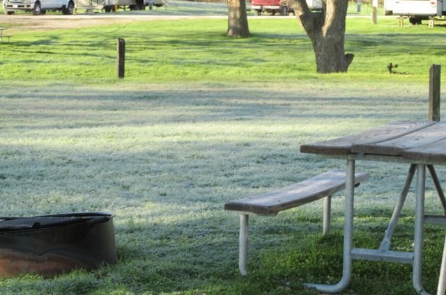 200227 001 heavy frost 002.jpg