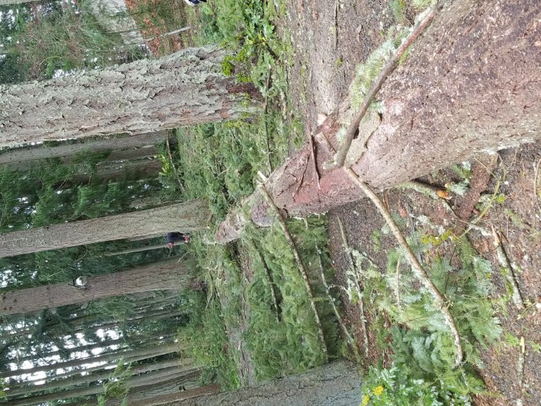 20170407_140315.jpg