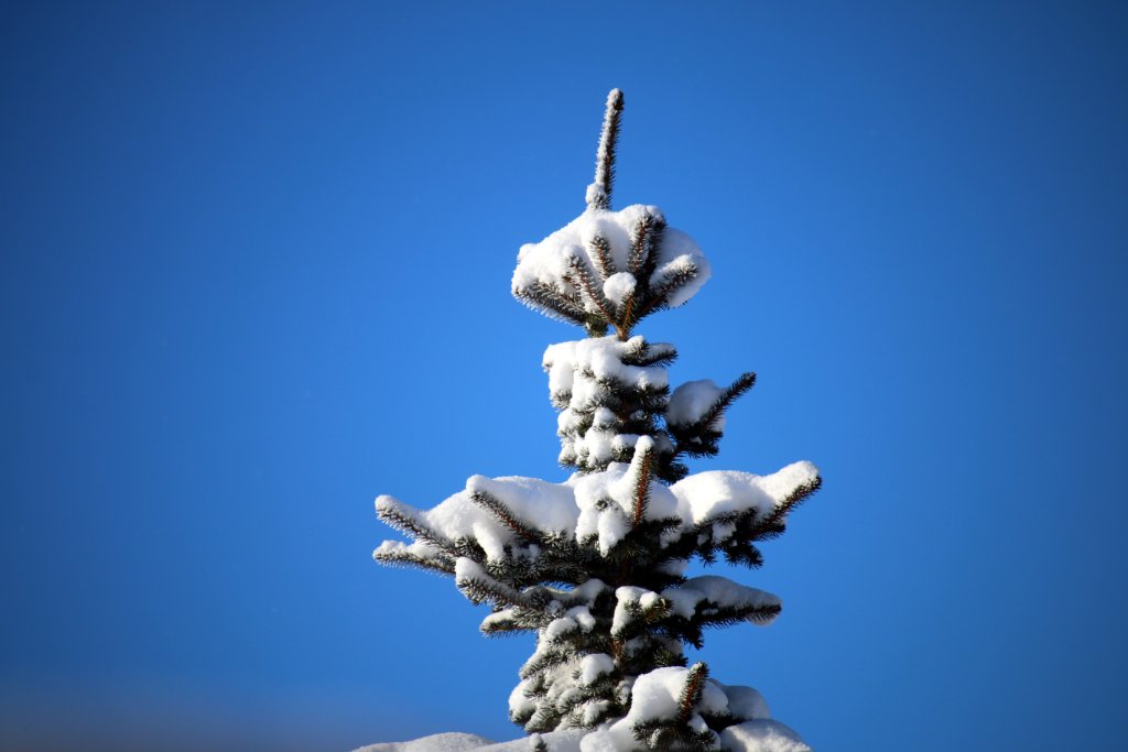 IMG_8879.JPG