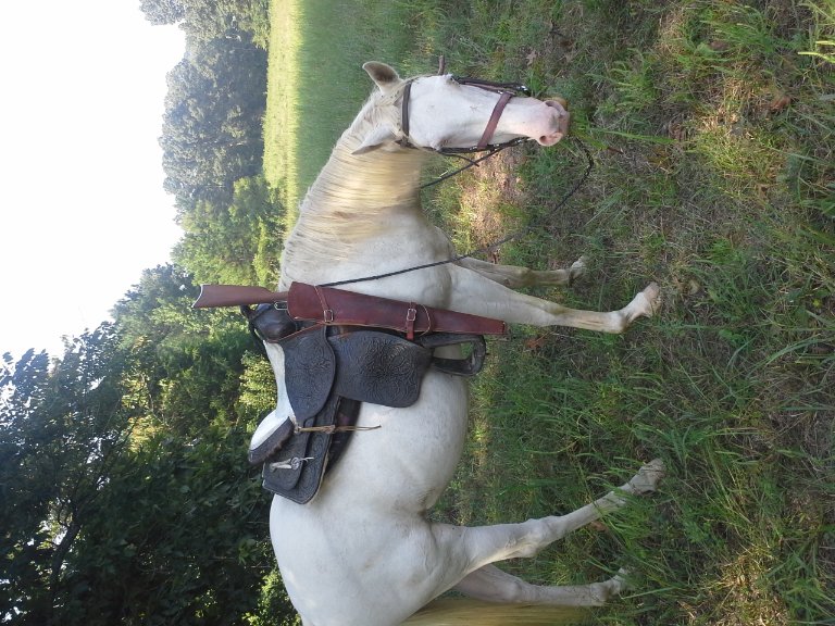 20130908_100707.jpg