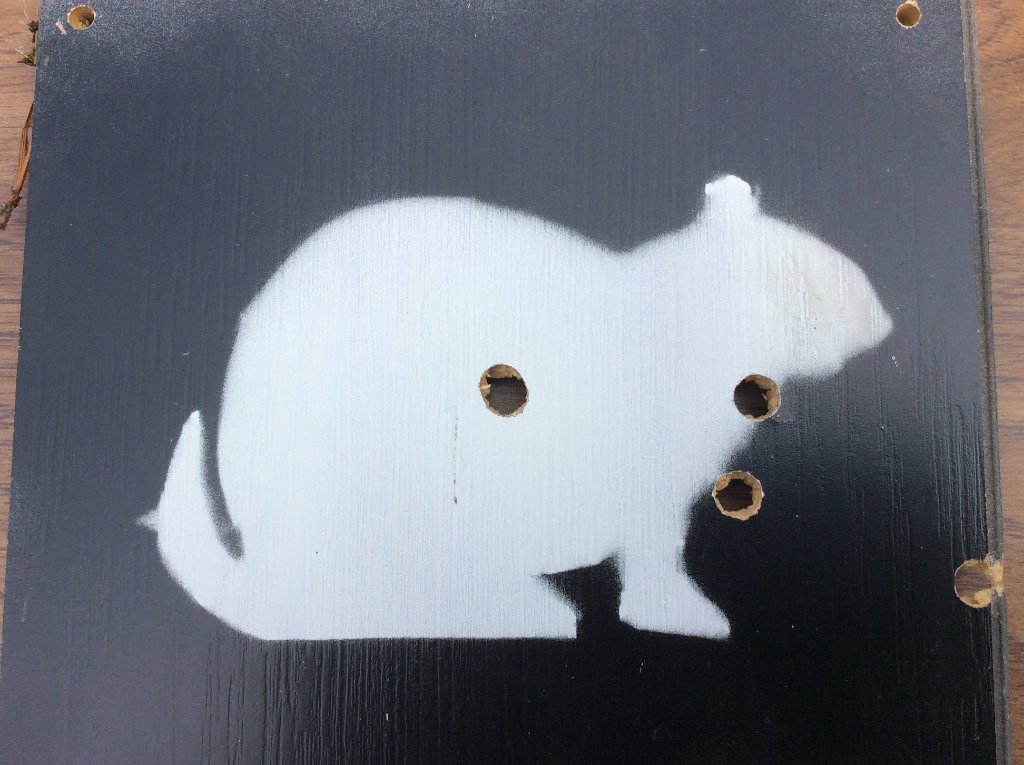 center hole  2 in one.jpg