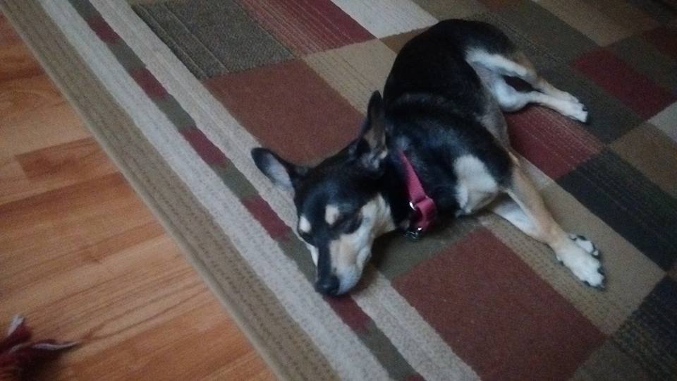 buster nap.jpg