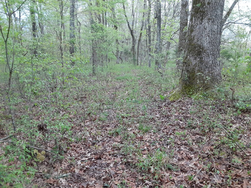 20200403_182955.jpg