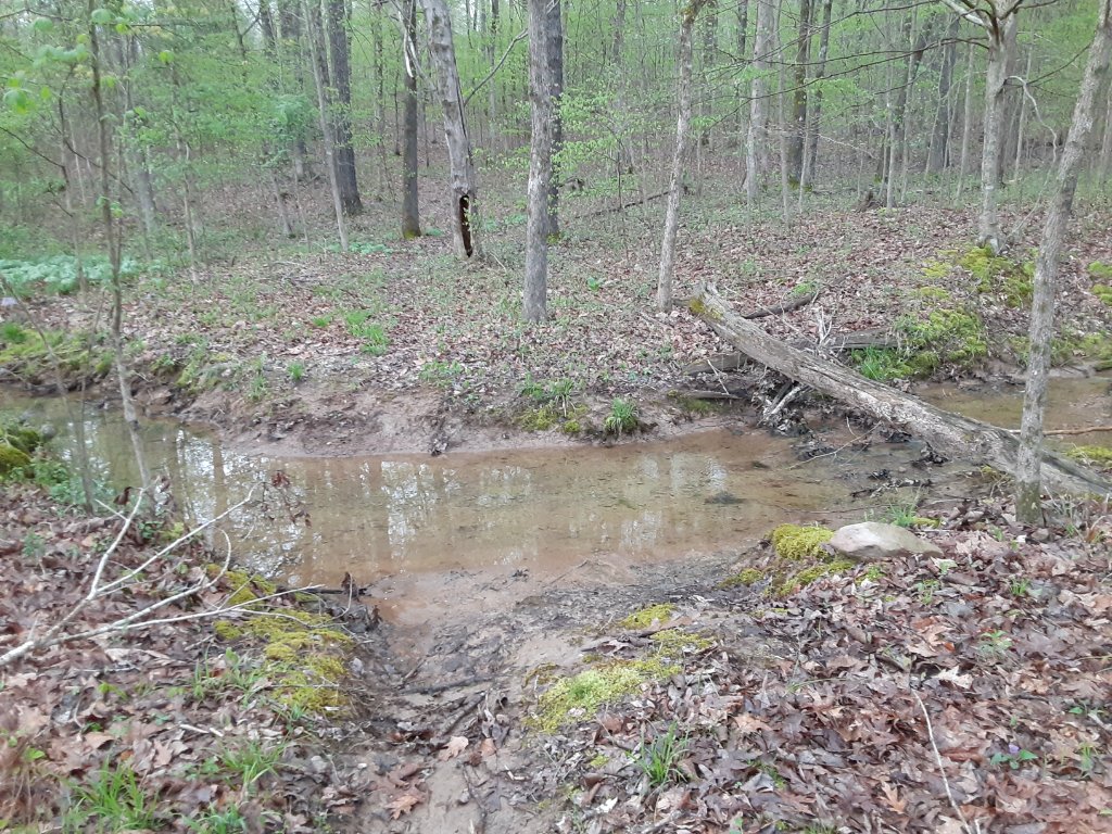 20200403_184124.jpg