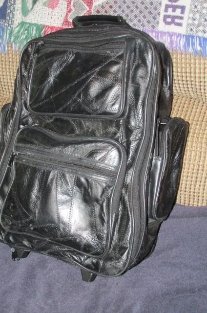 200409 001 carrying case 002.jpg