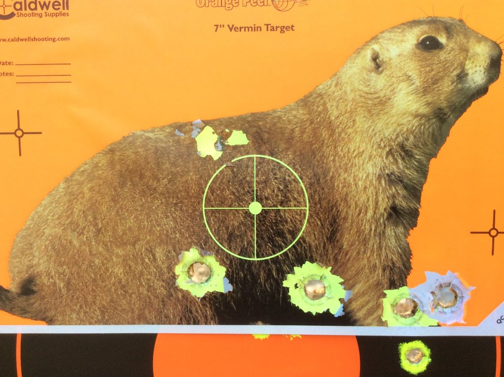 Marlin 1895 .45-70  ghost ring sight 45 yds. standing.jpg