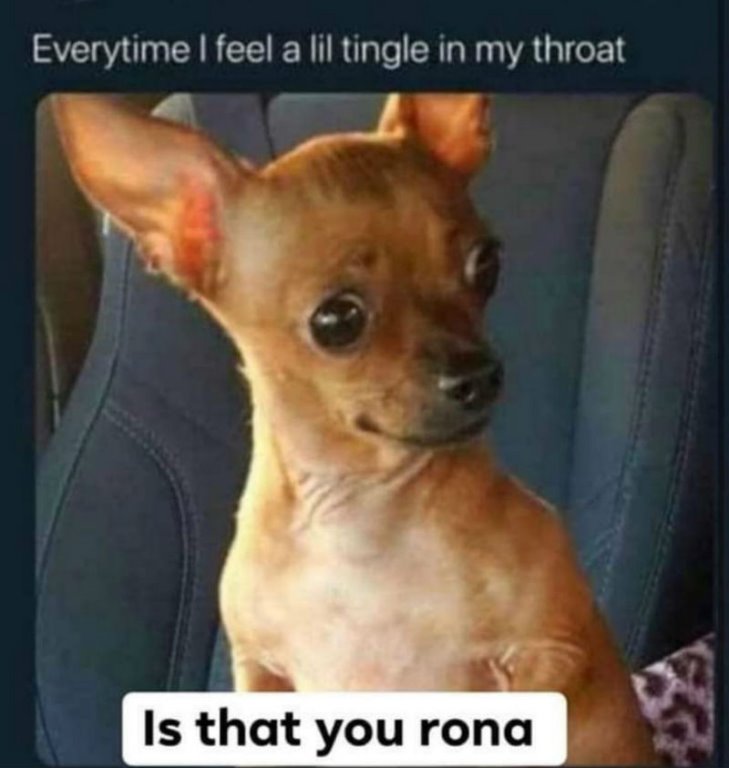everytime-i-feel-a-tingle-in-my-throat-is-that-you-rona-corona-virus-meme.jpg