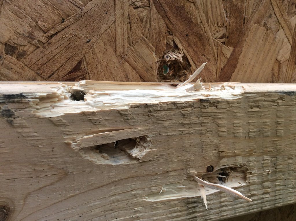 2x4 reinforcements behind Deadwood.jpg