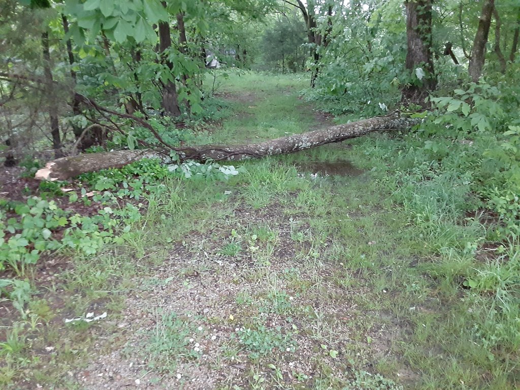 20200503_170230.jpg
