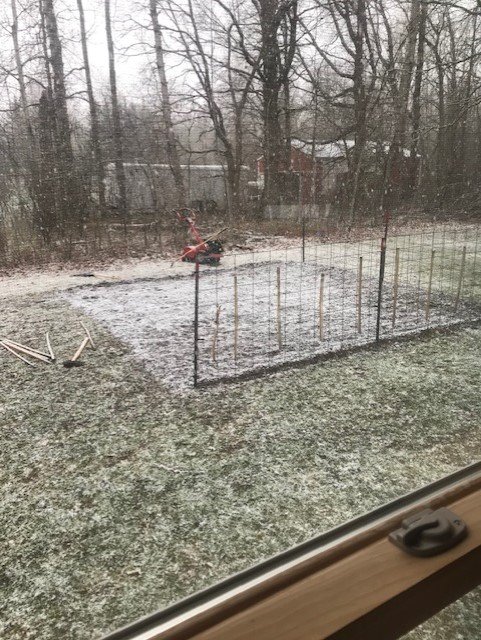 Snow garden.jpg