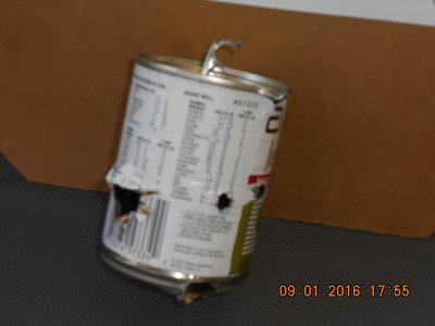 DSCN1404.JPG