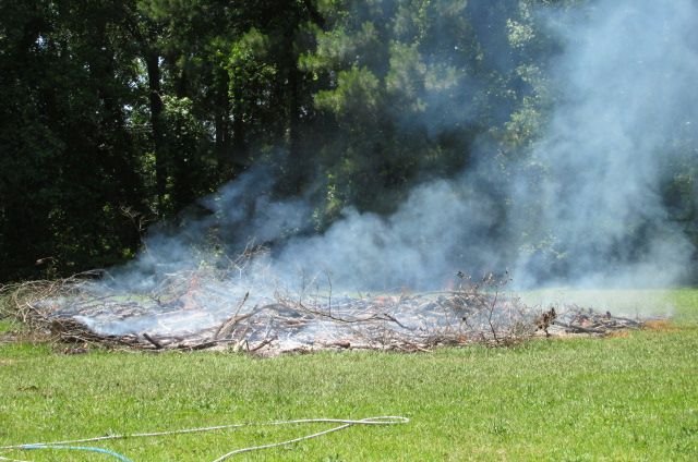 200602 001 Brush Pile Burn 003.jpg