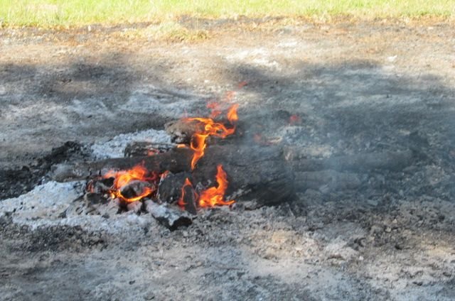 200603 001 Day 2 003.jpg