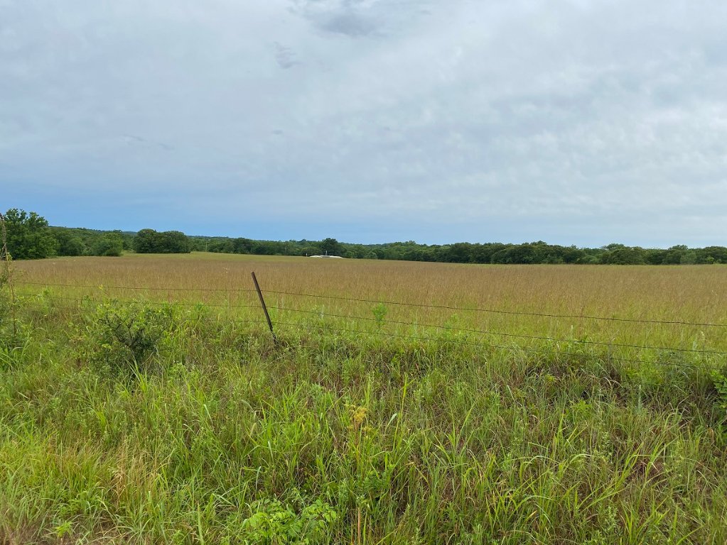 view across the neighbors hay field comp.jpg