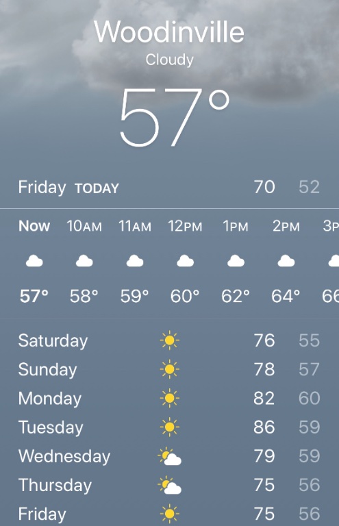 0191F656-F67F-4A76-AF17-5A1639EF4F78.jpeg