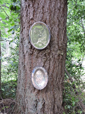 DSCN0828.JPG