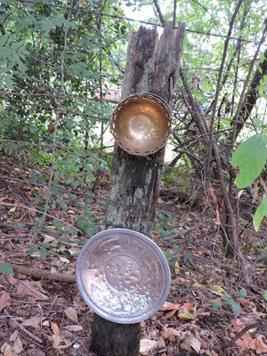 DSCN0833.JPG