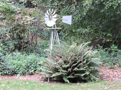 DSCN0839.JPG