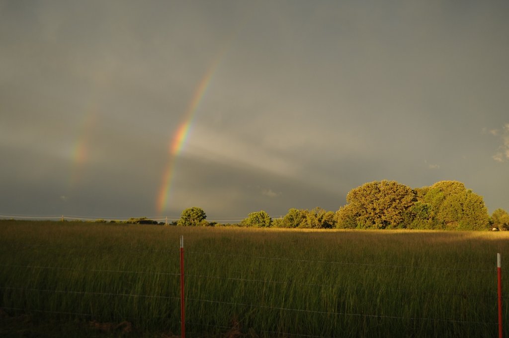 double rainbow.jpg
