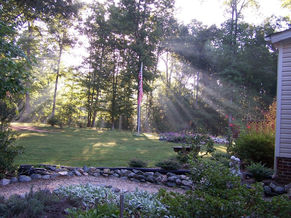 morning sun 01.jpg