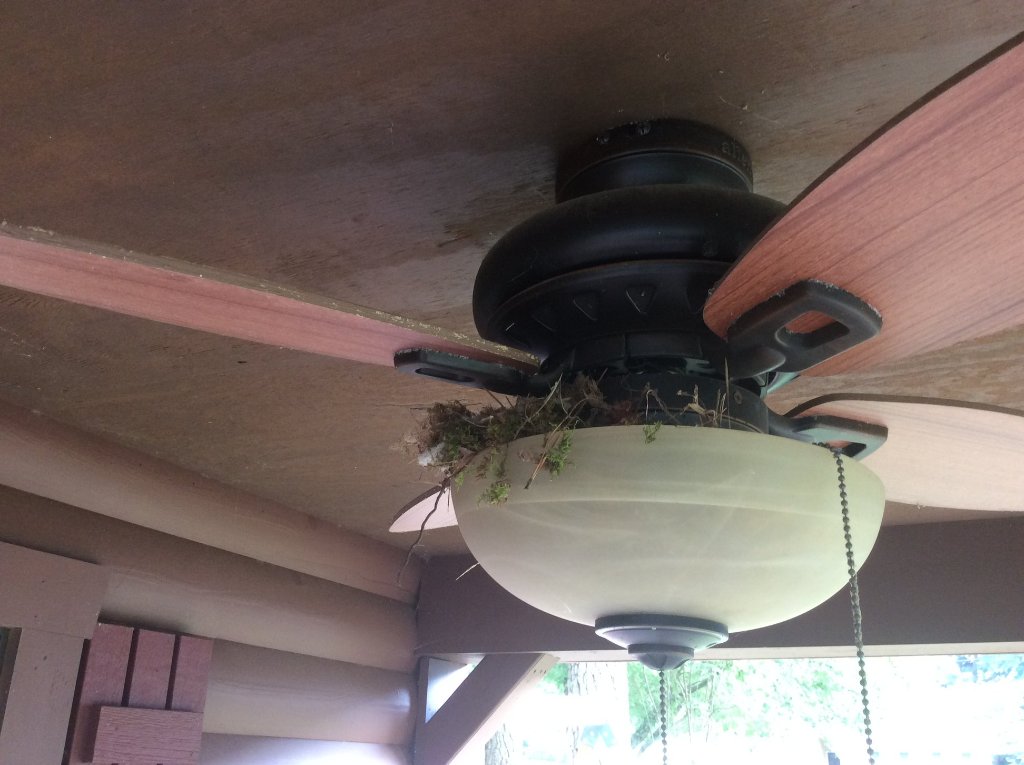 117658133_10213788036574283_7715790667236305550_o.jpg