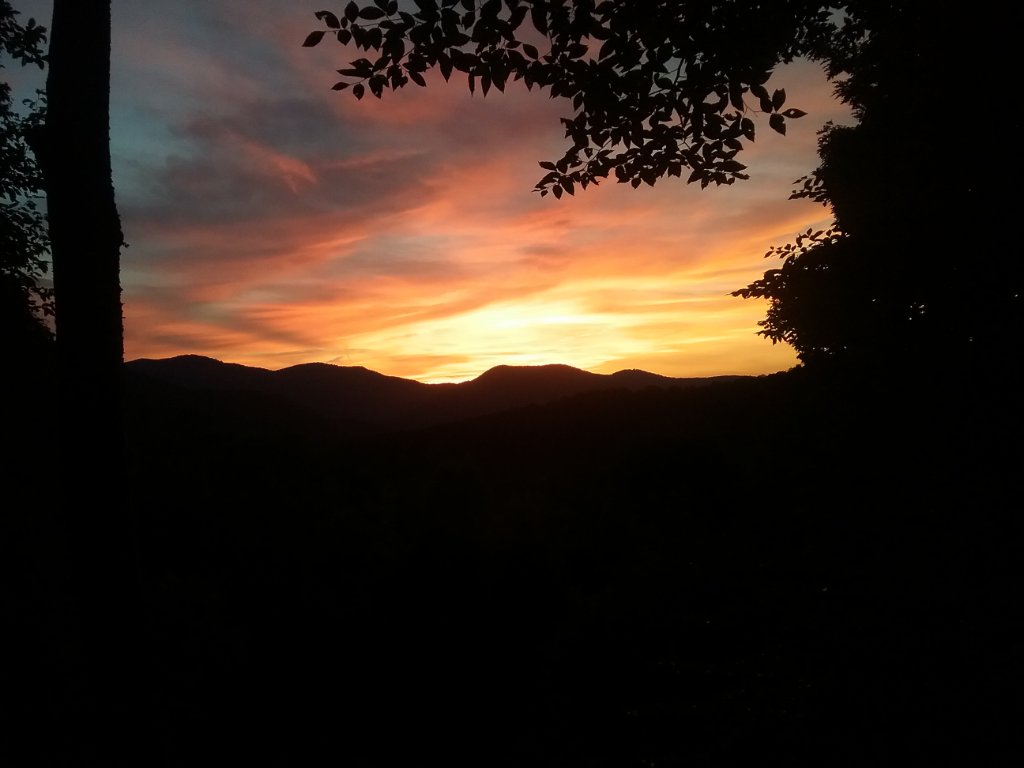 20200825_201912.jpg