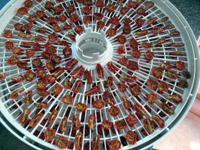 Dried tomatoes ready to pulverize