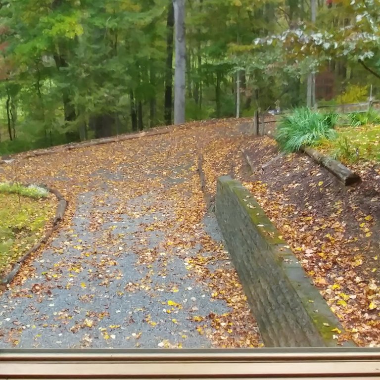 1010200819_HDR.jpg