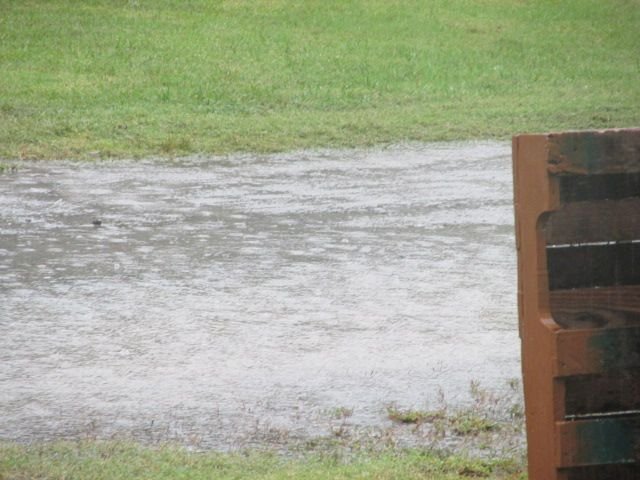 201011 002 rain from Hurricane Delta 002.jpg