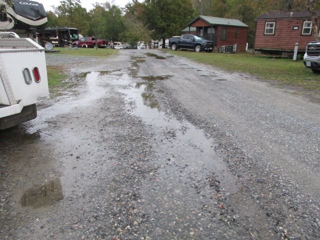 201025 001 overnight rain 005.jpg