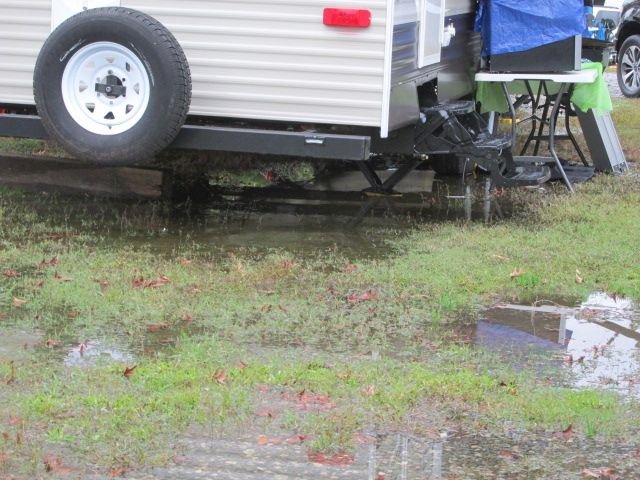 201025 001 overnight rain 003.jpg