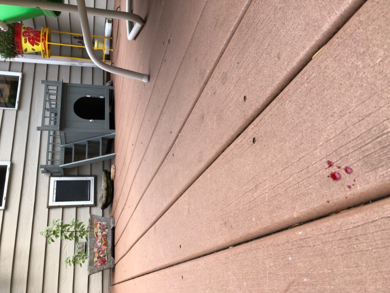 C0026259-947C-48CA-ACB0-263DA9D78004.jpeg